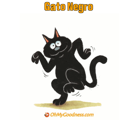 : Gato Negro