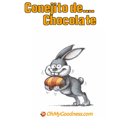 : Conejito de Chocolate