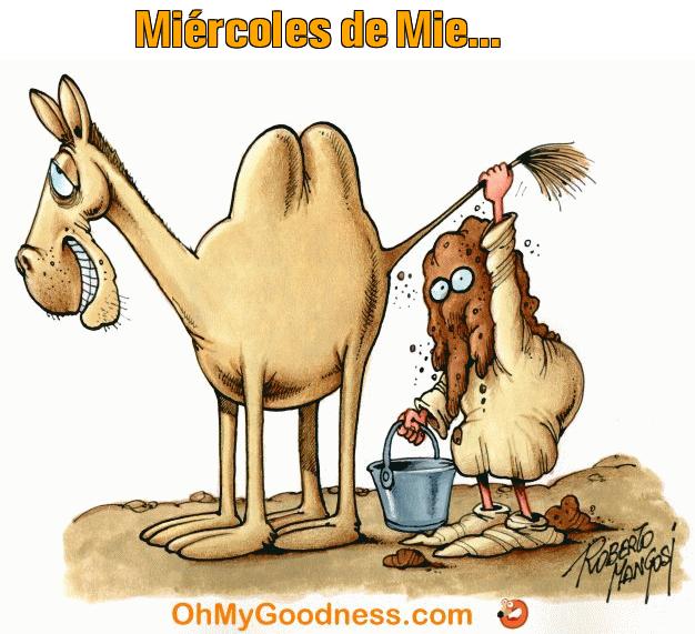 : Mircoles de Mie...