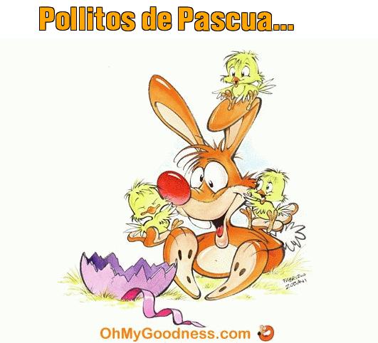 : Pollitos de Pascua...