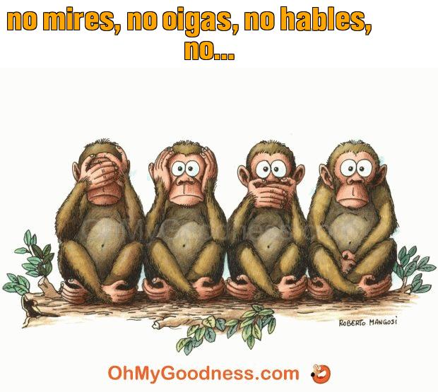 : no mires, no oigas, no hables, no... 😜