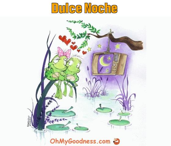 : Dulce Noche