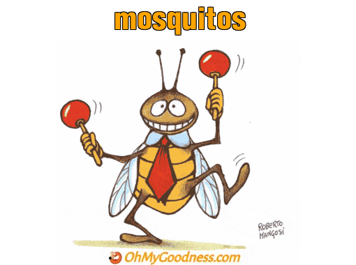 : mosquitos