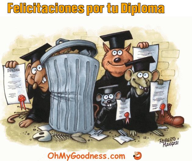 : Felicitaciones  por tu Diploma