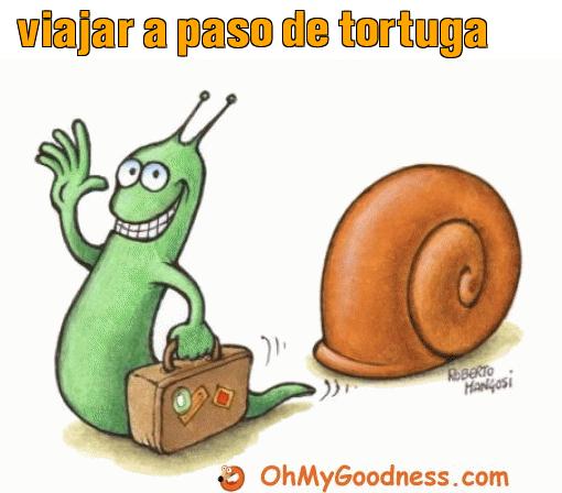 : viajar a paso de tortuga