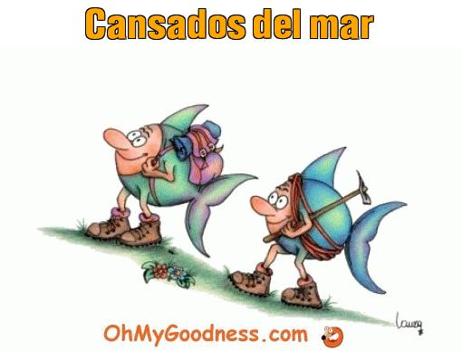 : Cansados del mar