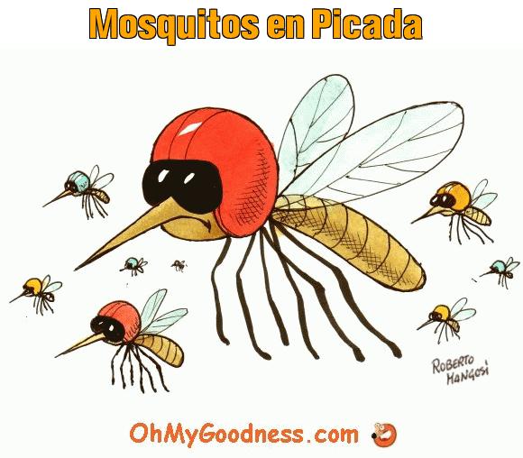: Mosquitos en Picada