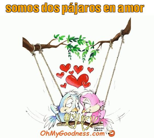 : somos dos pjaros en amor