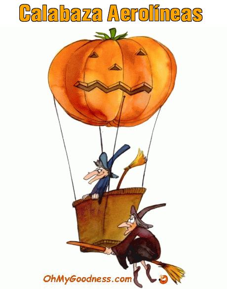 : Calabaza Aerolneas