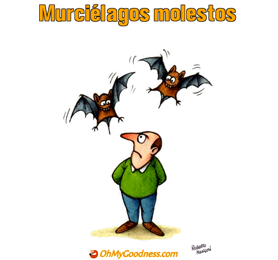 : Murcilagos molestos