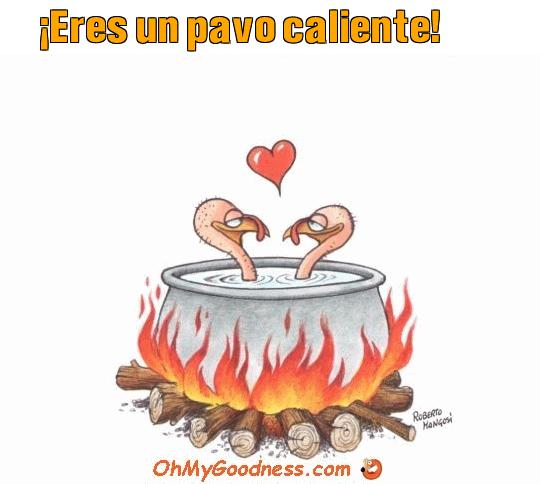 : Eres un pavo caliente!