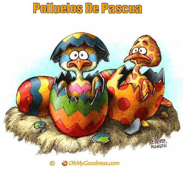 : Polluelos De Pascua