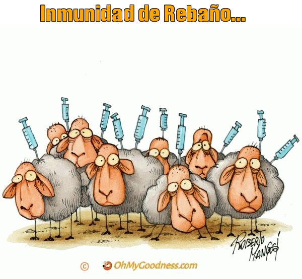 : Inmunidad de Rebaño...