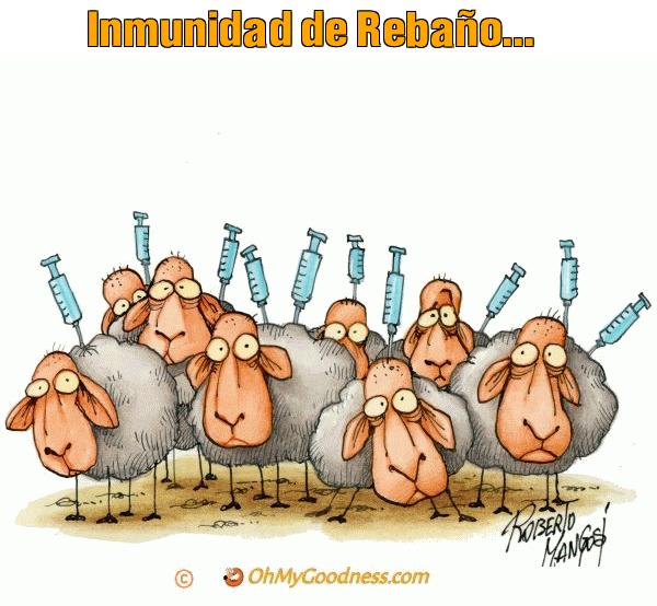 : Inmunidad de Rebao...