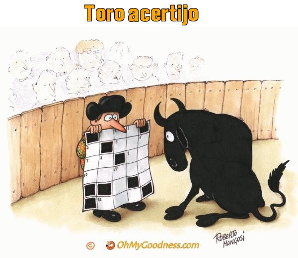 : Toro acertijo