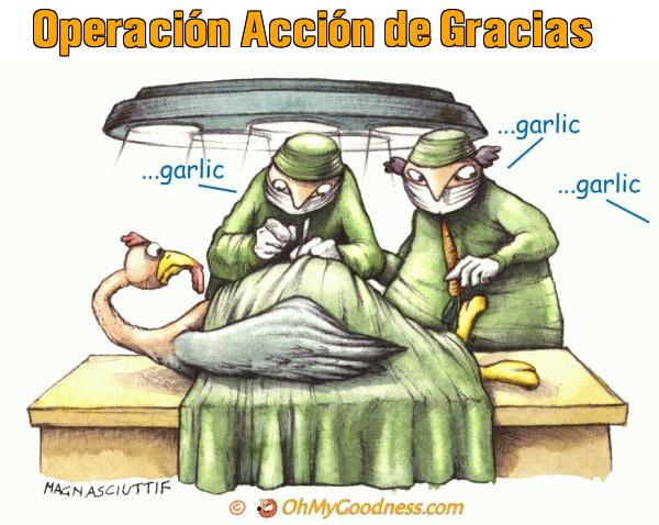 : Operacin Accin de Gracias