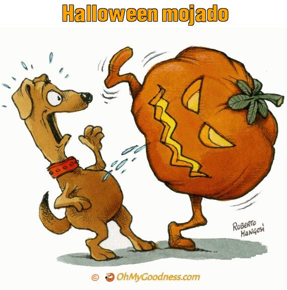 : Halloween mojado