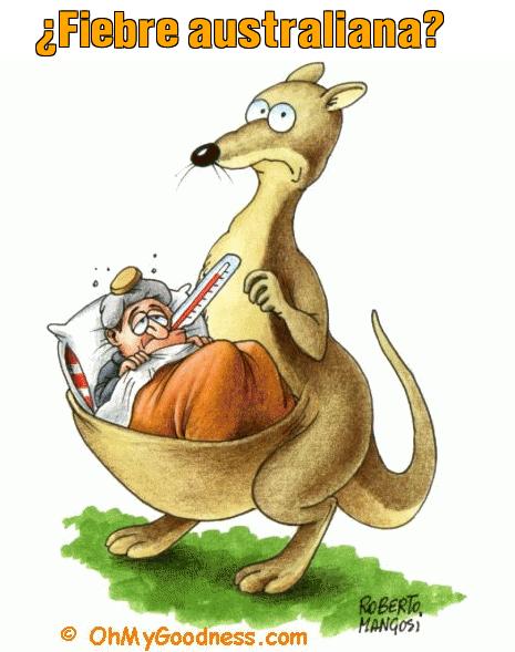 : Fiebre australiana?
