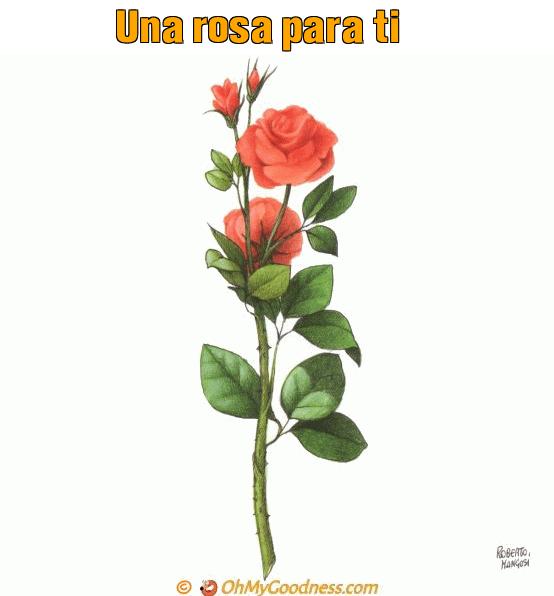 : Una rosa para ti