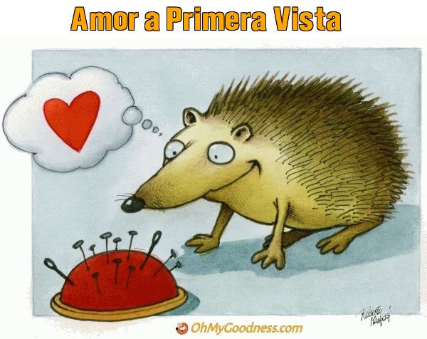 : Amor a Primera Vista