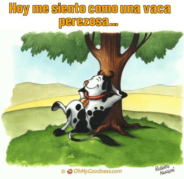 : Hoy me siento como una vaca perezosa...