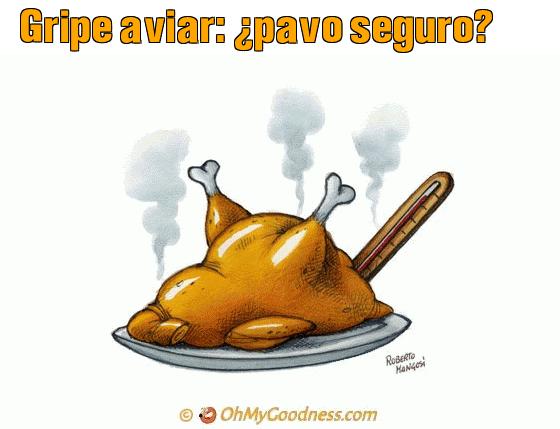 : Gripe aviar: pavo seguro?