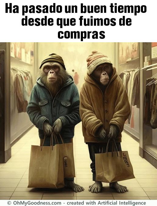 : Ha pasado un buen tiempo desde que fuimos de compras