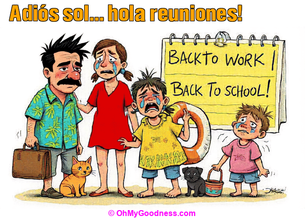 : Adis sol... hola reuniones!