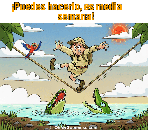 : ¡Puedes hacerlo, es media semana!