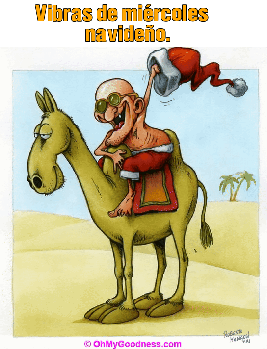 : Vibras de mircoles navideo.