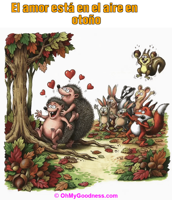 : El amor est� en el aire en oto�o