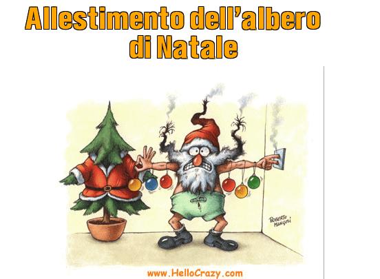 : Allestimento dell'albero di Natale