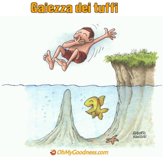 : Gaiezza dei tuffi