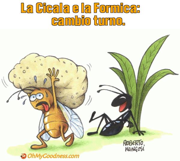 : La Cicala e la Formica: cambio turno.