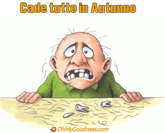 : Cade tutto in Autunno