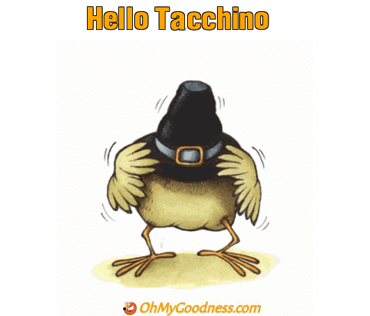 : Hello Tacchino