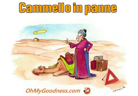 : Cammello in panne