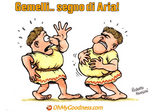 : Gemelli.. segno di Aria!