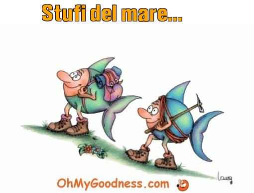 : Stufi del mare...