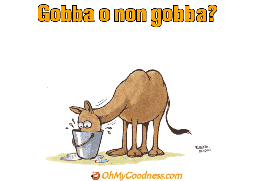 : Gobba o non gobba?