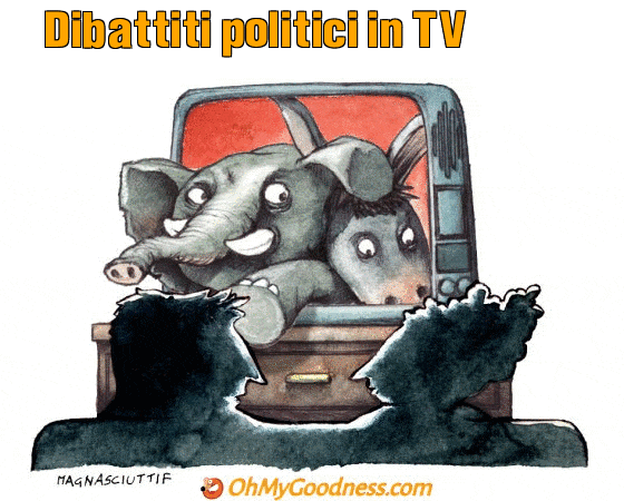 : Dibattiti politici in TV