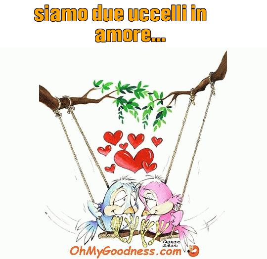 : siamo due uccelli in amore...