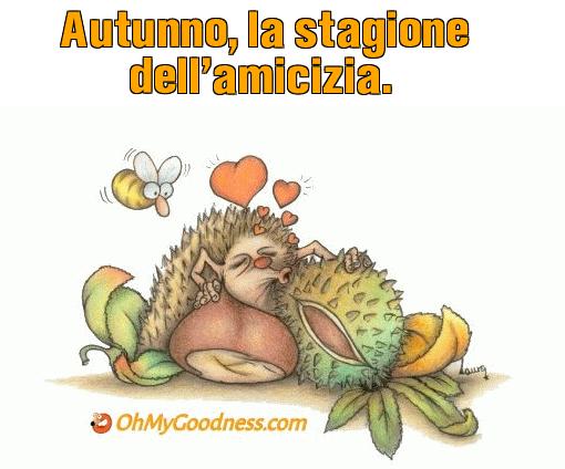 : Autunno, la stagione dell'amicizia.