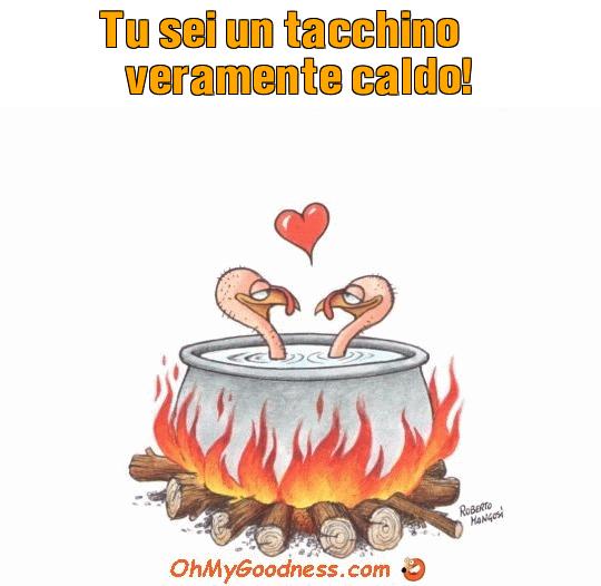 : Tu sei un tacchino veramente caldo!