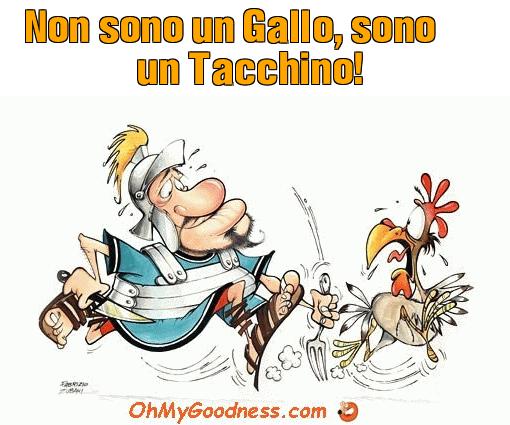 : Non sono un Gallo, sono un Tacchino!