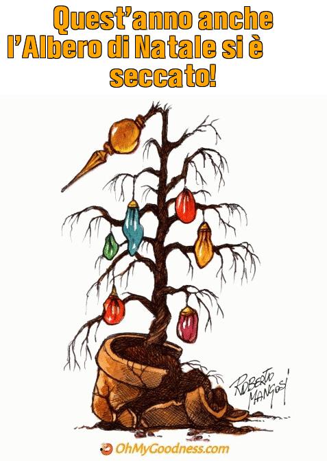 : Quest'anno anche l'Albero di Natale si  seccato!