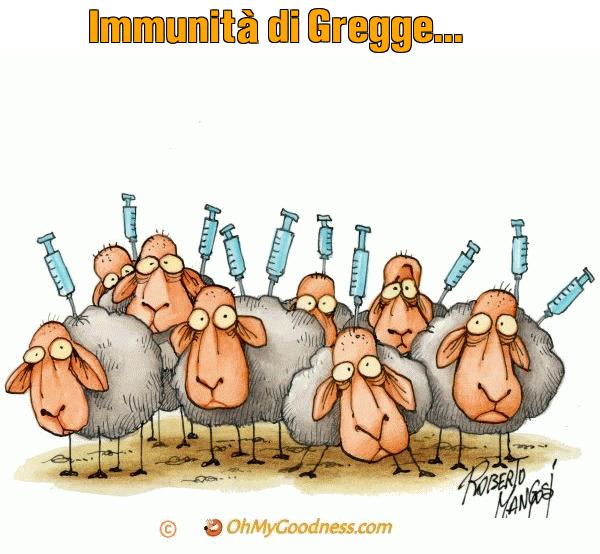 : Immunit di Gregge...