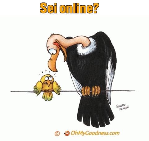 : Sei online?