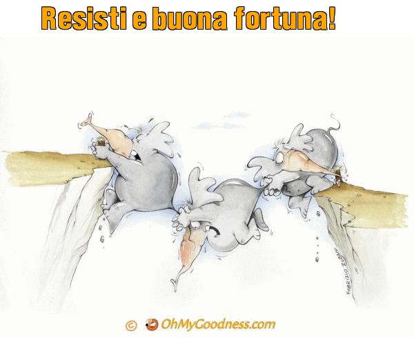 : Resisti e buona fortuna!