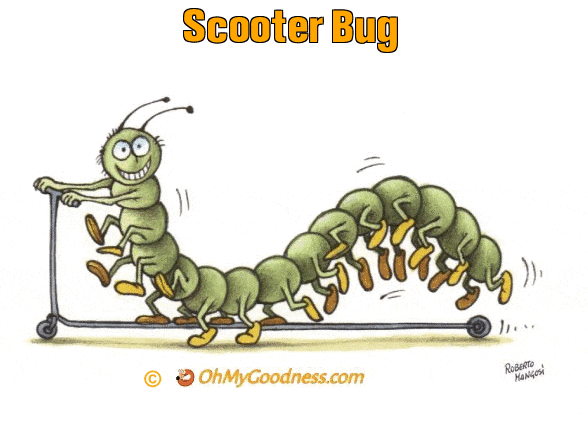 : Scooter Bug